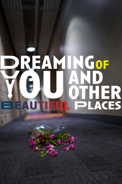 Movie poster for Dreaming of You and Other Beautiful Places