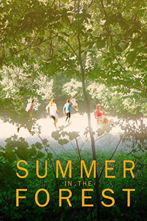 Movie poster for Summer in the Forest (2017)
