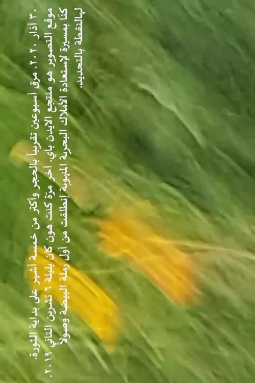 Movie poster for I was grateful the wind tore out my camera’s microphone (2020)