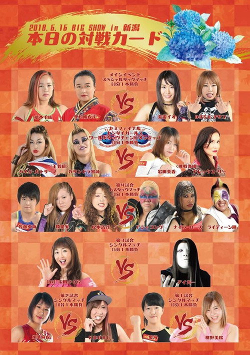 Movie poster for Sendai Girls Joshi Puroresu Big Show 2018 In Niigata (2018)