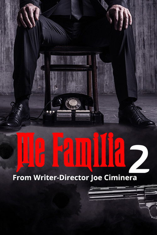 Movie poster for Me Familia 2 (2021)