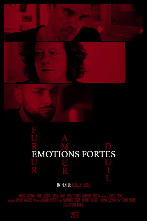Movie poster for Strong Emotions