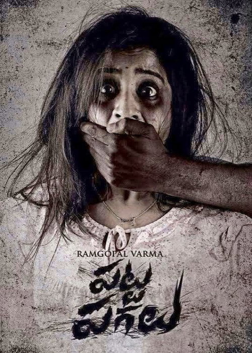 Movie poster for Patta Pagalu