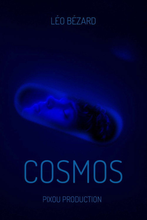 Movie poster for Cosmos (2025)