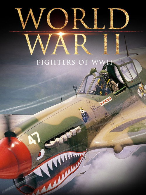 Movie poster for Fighters of WWII (2001)