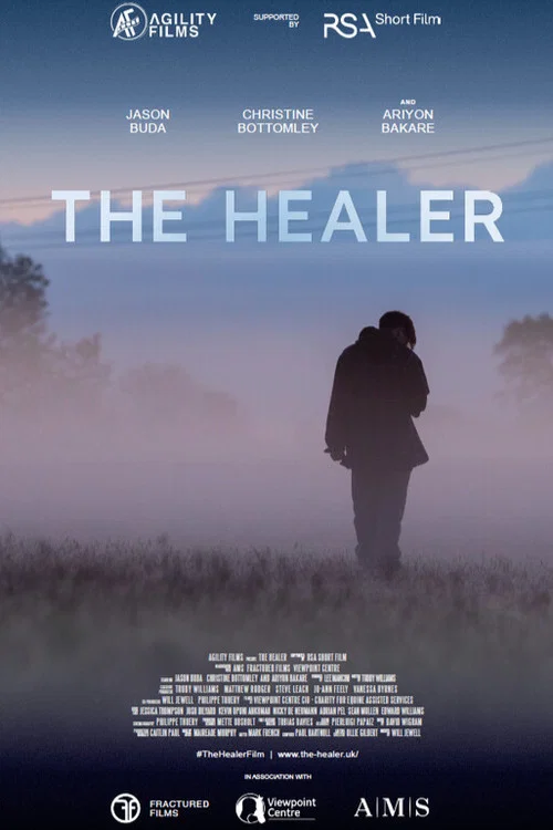 Movie poster for The Healer