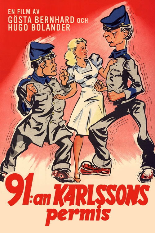 91:an Karlssons permis poster