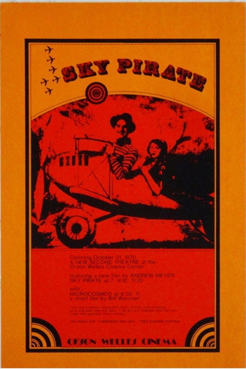 Movie poster for The Sky Pirate (1969)