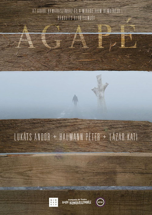 Movie poster for Agapé (2014)