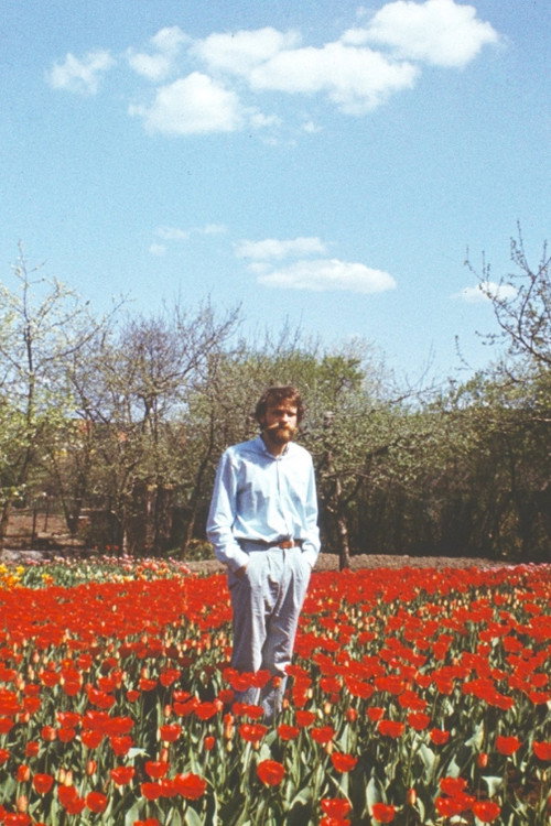 Movie poster for Tulip Field (2019)