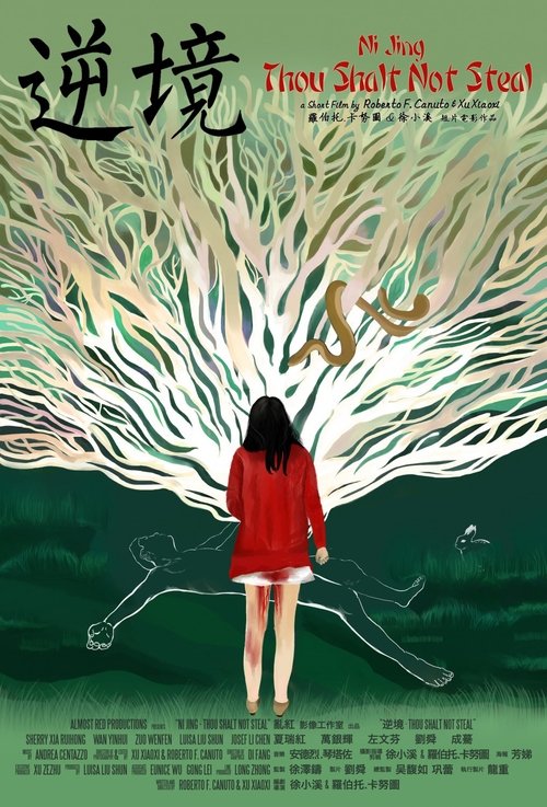 Movie poster for Ni Jing: Thou Shalt Not Steal (2013)