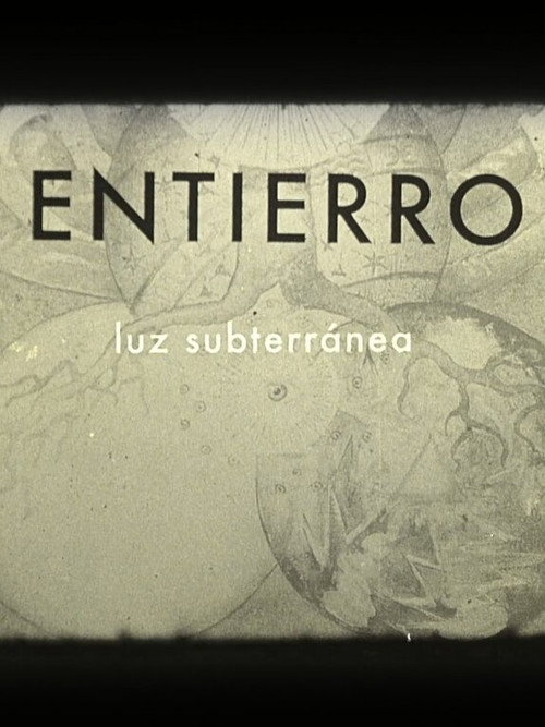 Movie poster for Burial: Subterranean Light (2022)