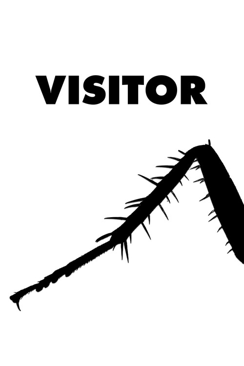 Movie poster for Visitor (2026)