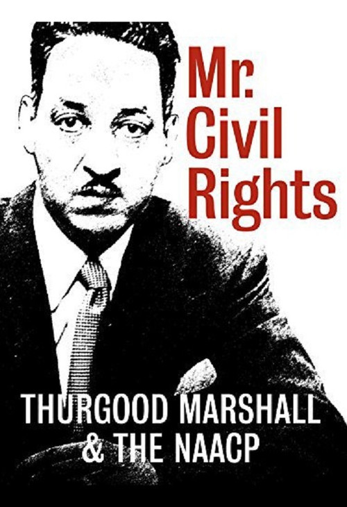 Movie poster for Mr. Civil Rights: Thurgood Marshall and the NAACP (2014)