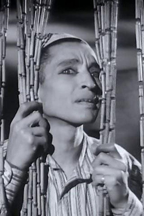 Photo of Mounir ElFangary, Acting