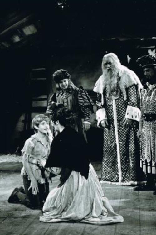 Matinee Theater poster