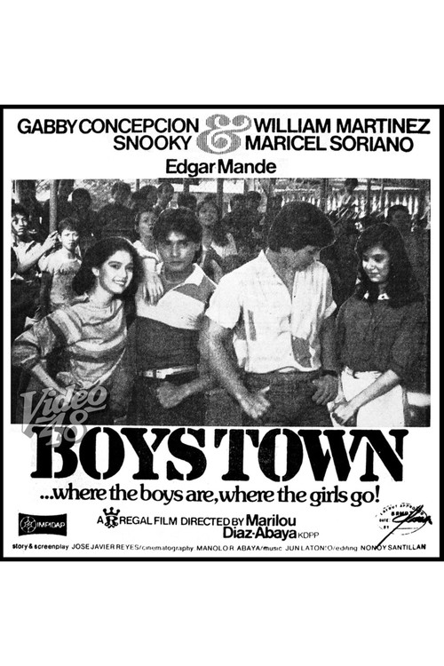 Movie poster for Boystown (1982)