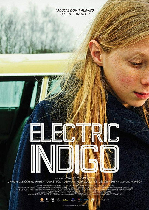Movie poster for Electric Indigo (2013)