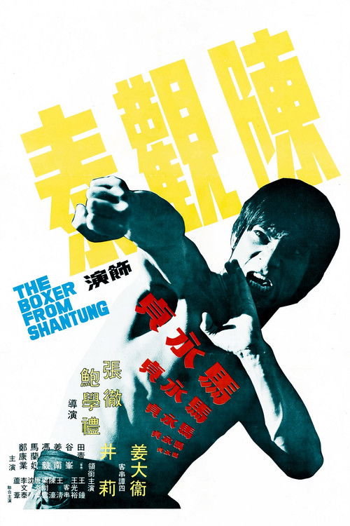 Movie poster for The Boxer from Shantung (1972)