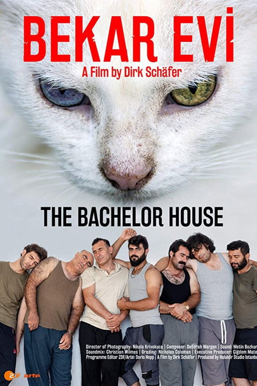 Movie poster for The Bachelor House (2019)
