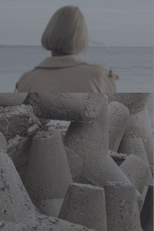Movie poster for Soil (2024)