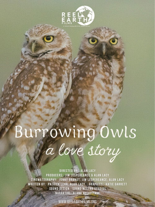 Movie poster for Burrowing Owls: A Love Story (2025)