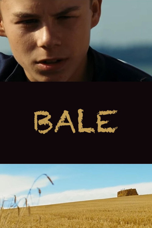 Movie poster for Bale (2009)