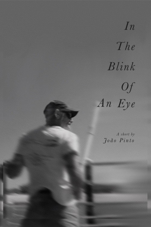 Movie poster for In The Blink Of An Eye