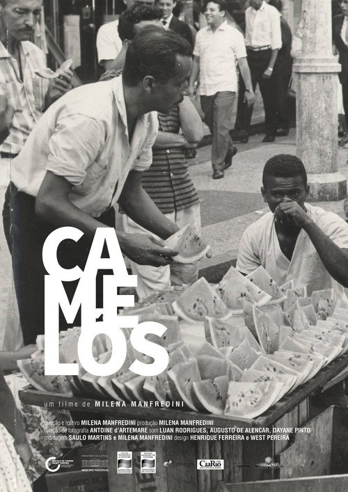Movie poster for Camelôs (2018)