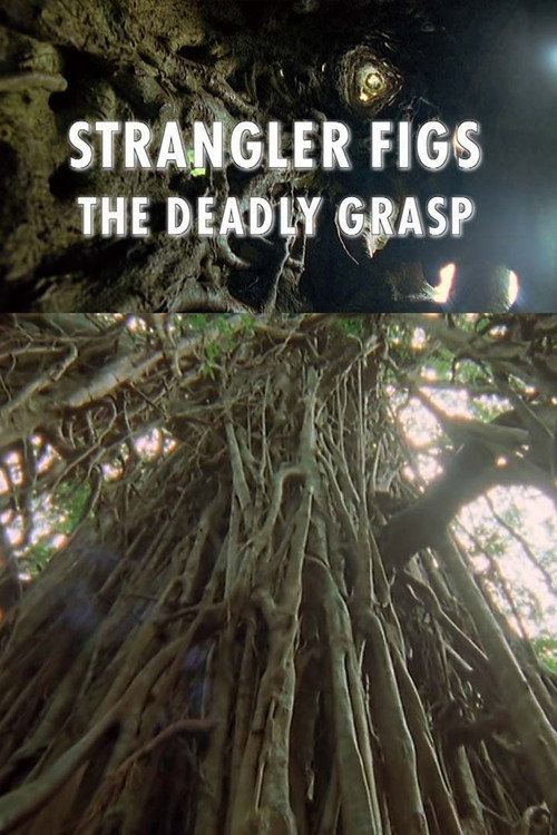 Movie poster for Strangler Figs: The Deadly Grasp (2000)