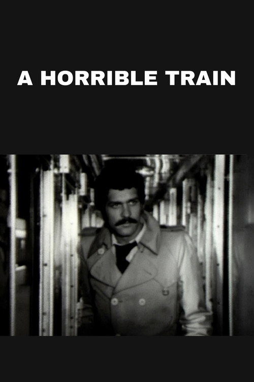 Movie poster for A Horrible Train (1975)