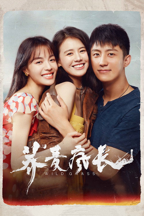 Movie poster for Wild Grass (2020)