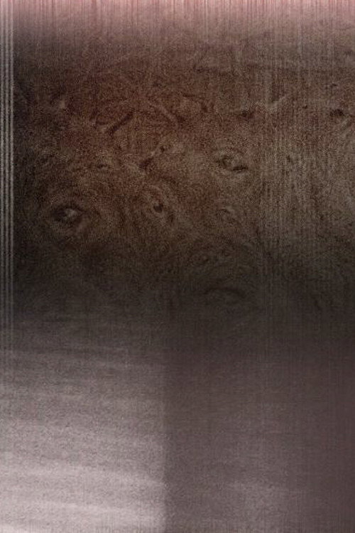 Movie poster for The Garden of Electric Delights (2025)