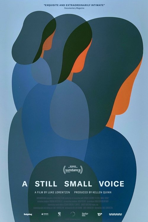 Movie poster for A Still Small Voice (2023)
