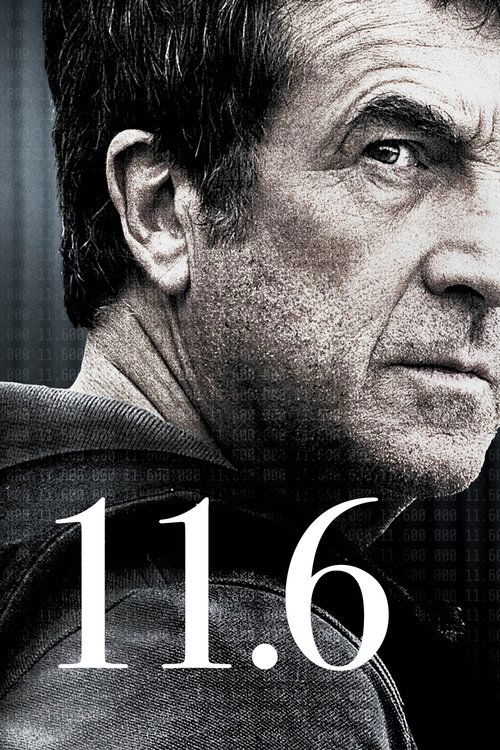 Movie poster for 11.6 (2013)