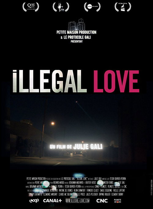 Movie poster for Illegal Love (2011)