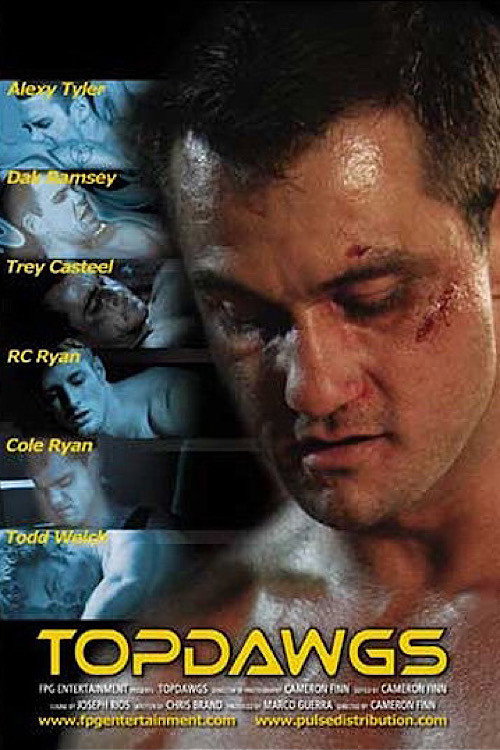 Movie poster for Top Dawgs (2007)