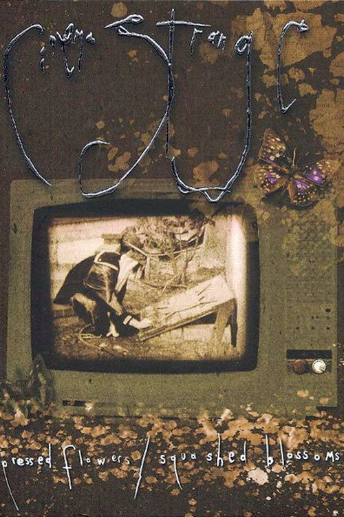 Movie poster for Cinema Strange: Pressed Flowers / Squashed Blossoms (2005)
