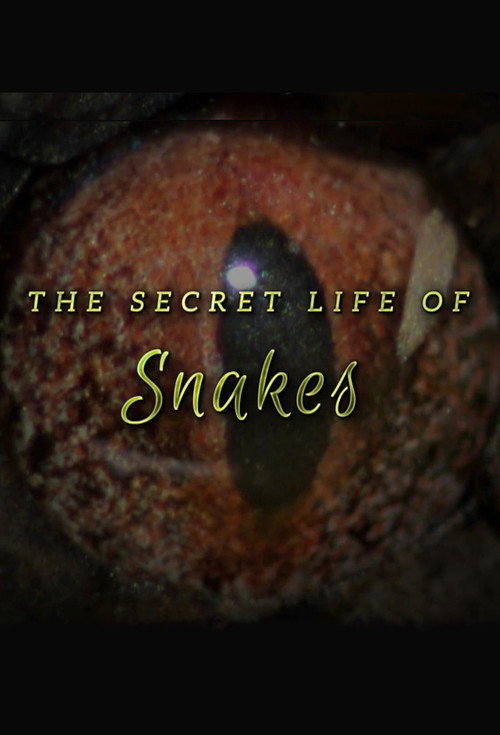 Movie poster for The Secret Life of Snakes (2016)