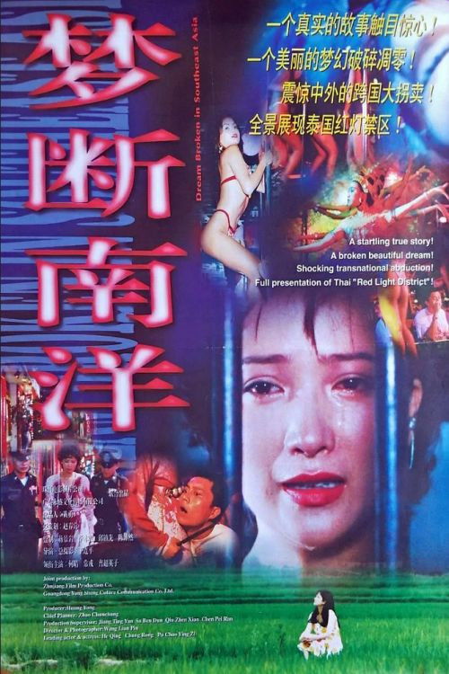 Movie poster for Meng duan nan yang (1995)