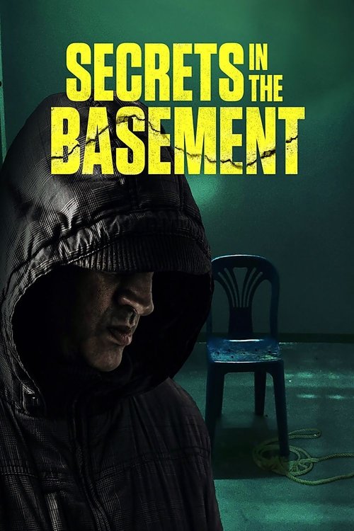 Movie poster for Secrets in the Basement (2020)