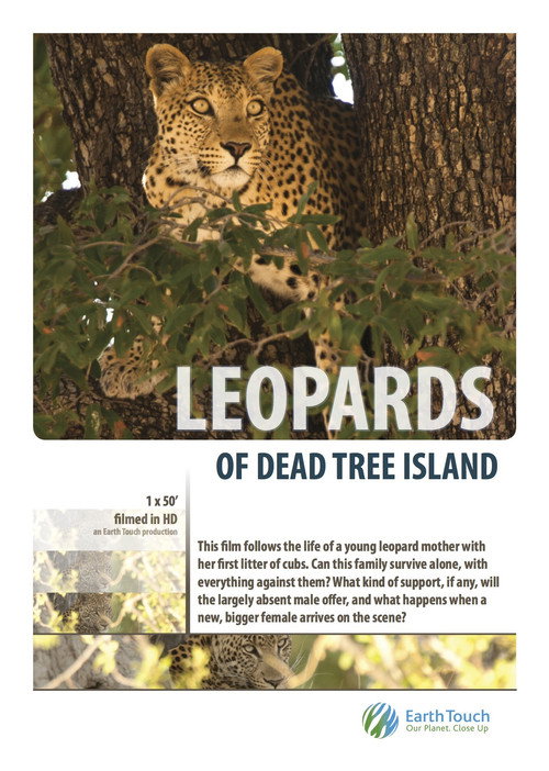 Movie poster for Leopards of Dead Tree Island (2010)