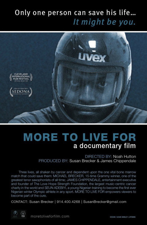 Movie poster for More to Live For (2011)