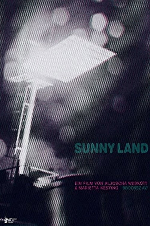 Movie poster for Sunny Land (2010)