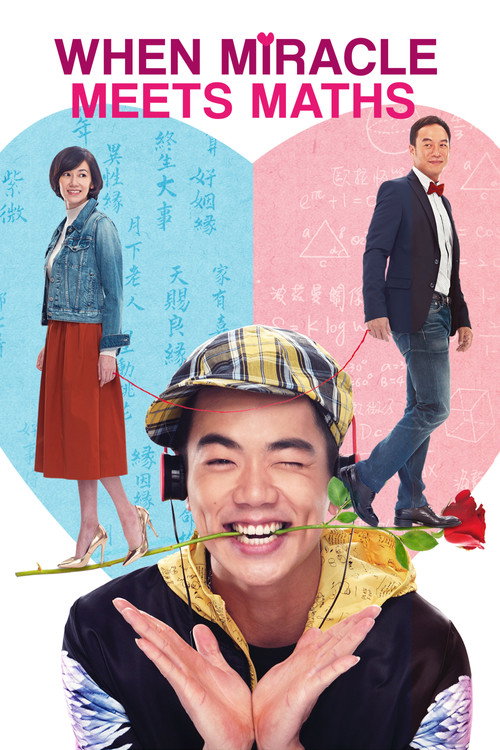 Movie poster for When Miracle Meets Maths (2015)