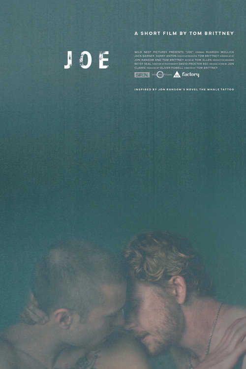 Movie poster for Joe (2025)