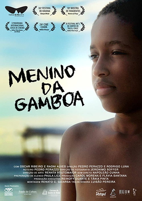 Movie poster for Menino da Gamboa (2014)