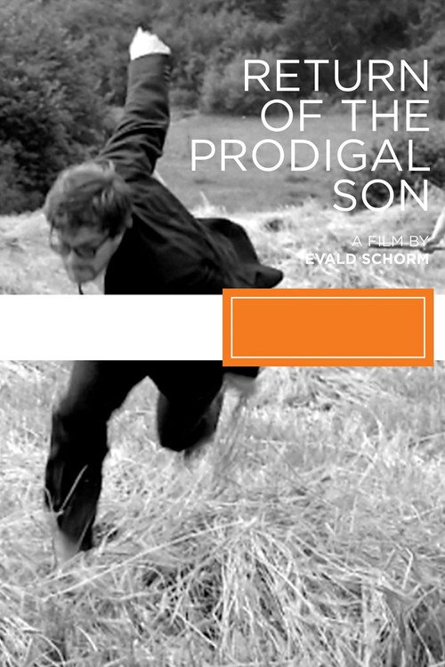 Movie poster for The Return of the Prodigal Son (1967)