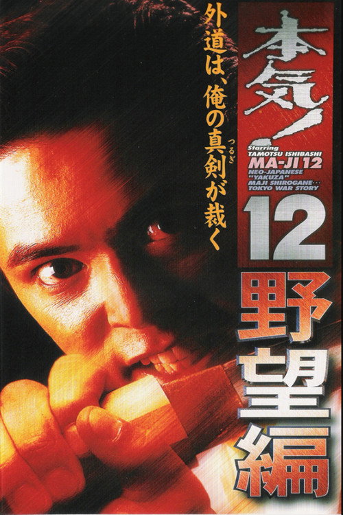 Movie poster for Maji! 12: The Ambition (1999)