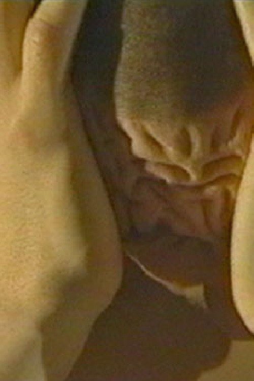 Movie poster for The Eastern House (2003)